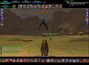 Windfeder killen_01.jpg